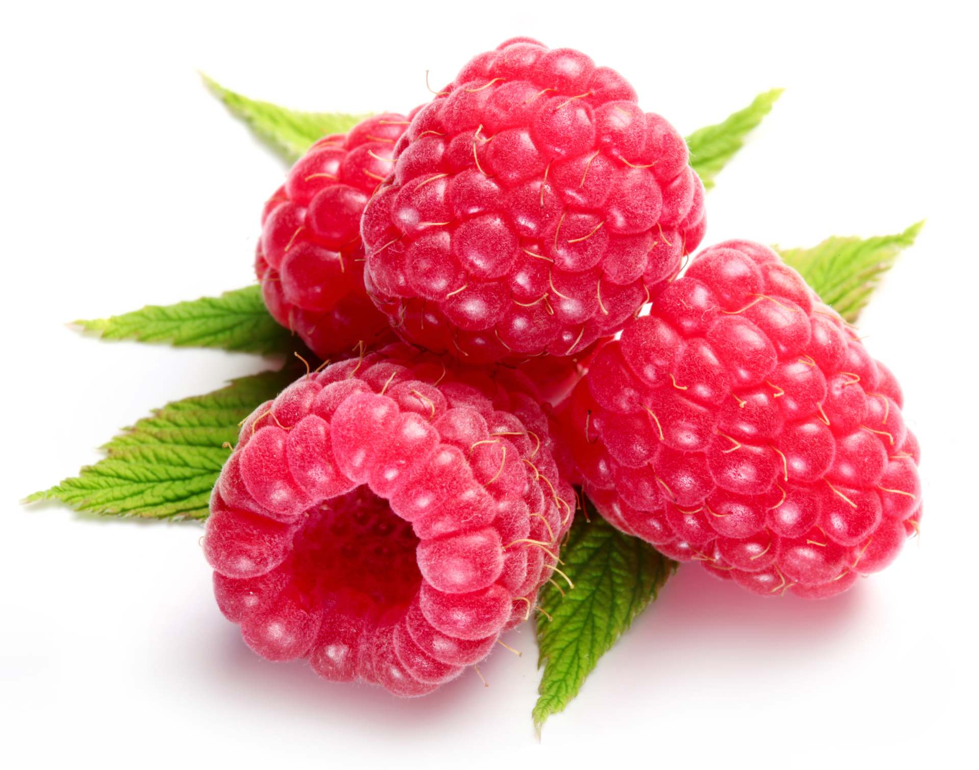 Himbeeren - 1 x 1 Schale 250 g