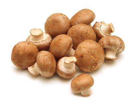 Champignon Braun - 1 x 1 Schale 400g