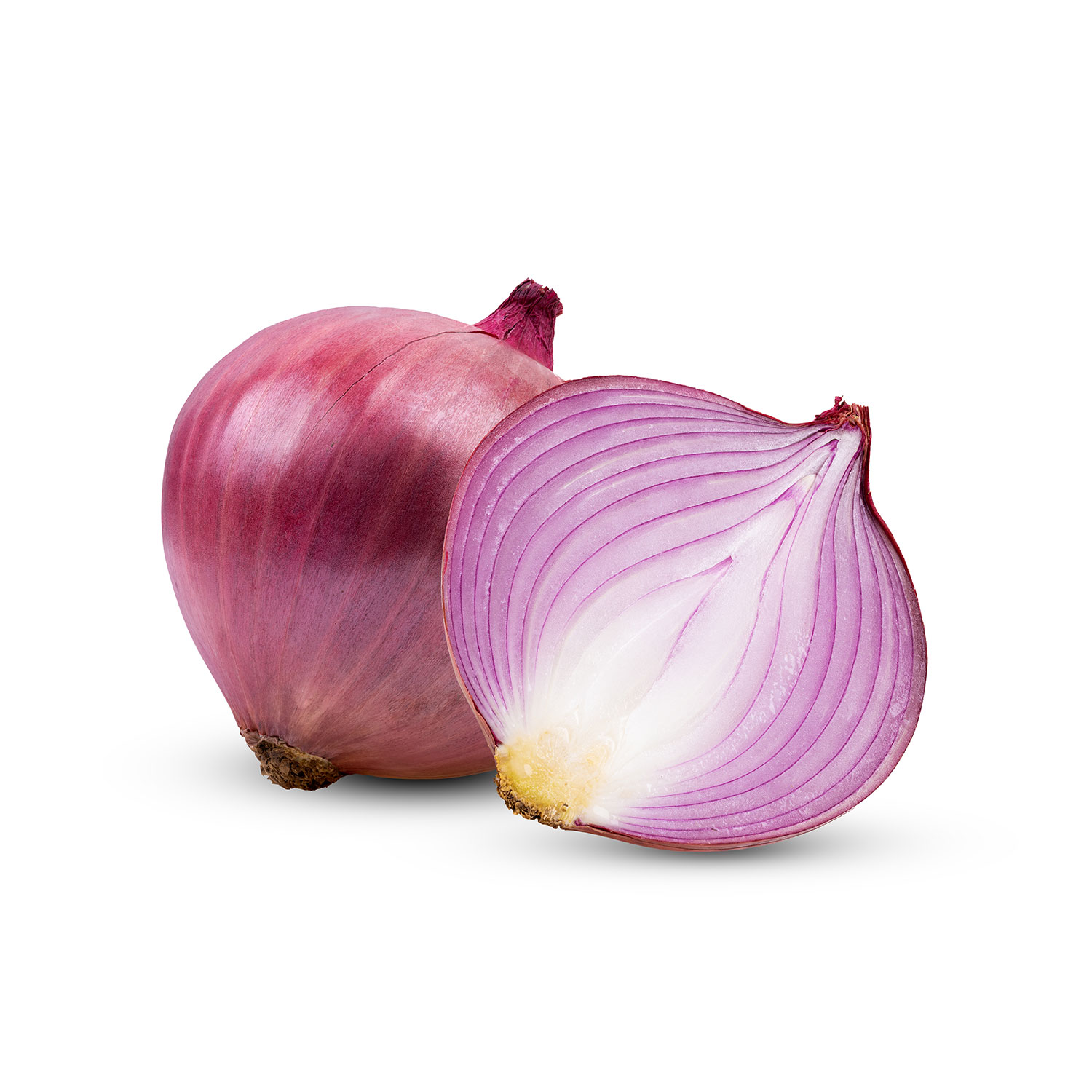 Zwiebel Rot, 1 x 1 kg Netz