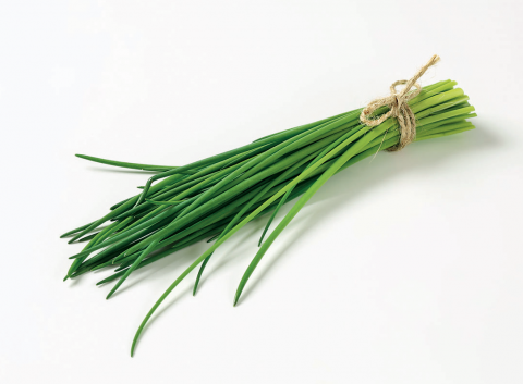 Schnittlauch - 1 x 100 g Bund