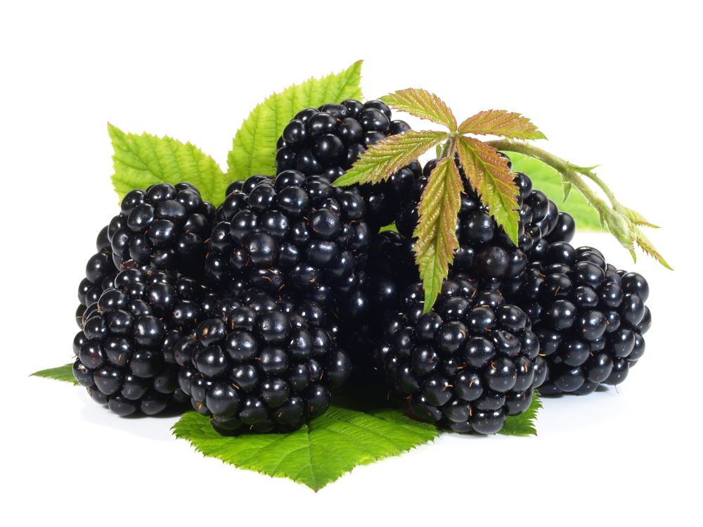 Brombeeren - 1 x 1 Schale 250 g