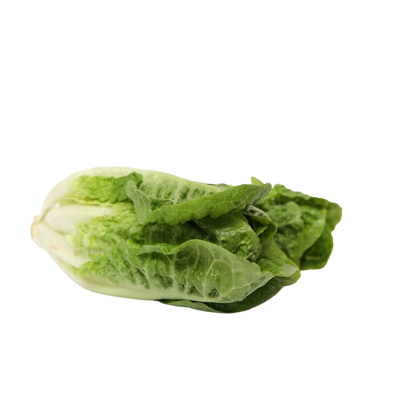 Romana Salat, 1 x 1 Stück (ca. 400-450 g)
