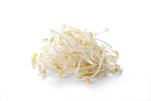 Sojasprossen - 1000 g