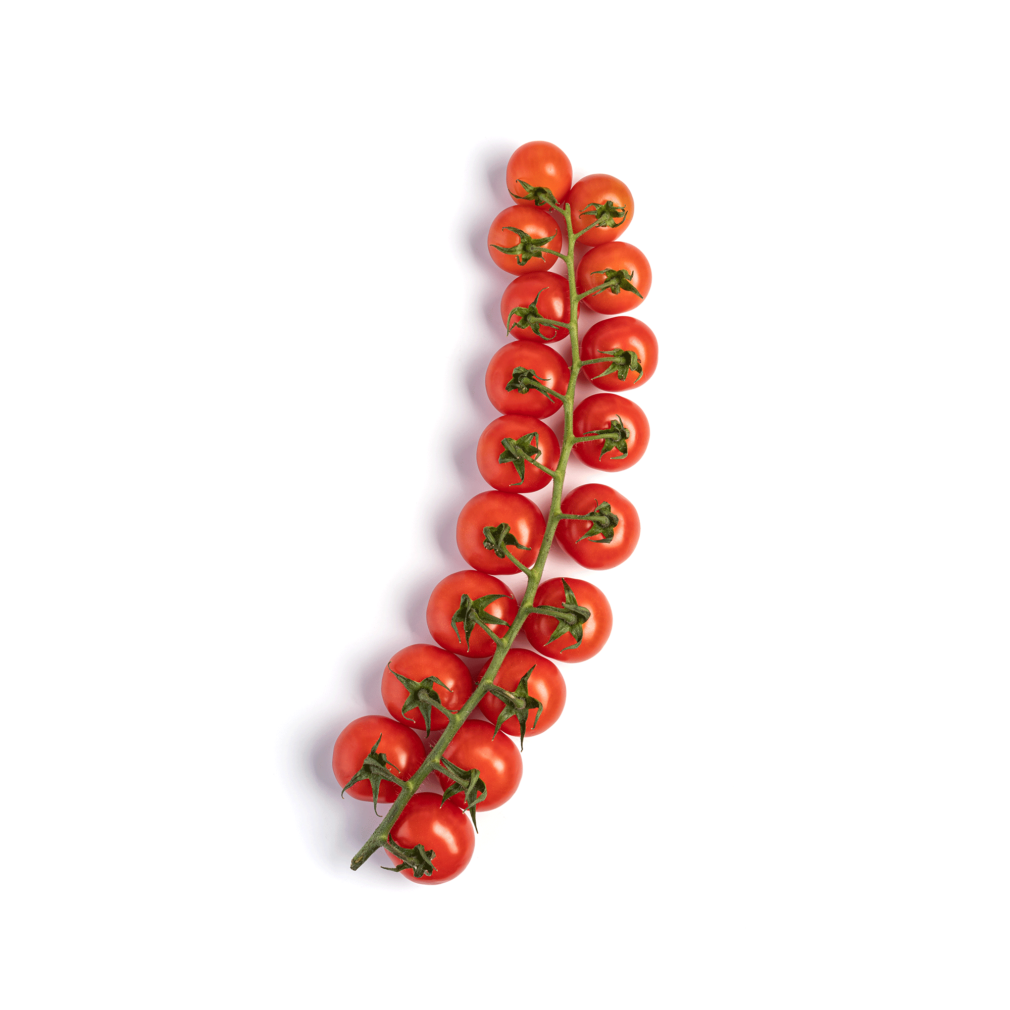 Kirschtomaten, 1 x 3 kg Schale