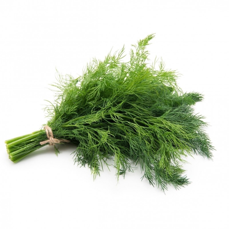 Dill Lose - 1 x 40 g Schale