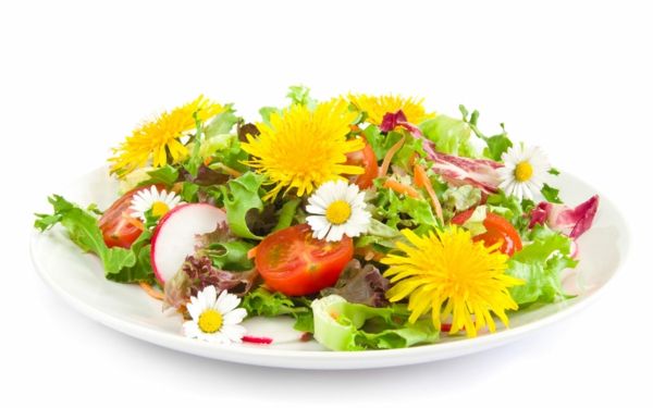 Ess Blumen zur Dekoration - 1 x 1 Schale