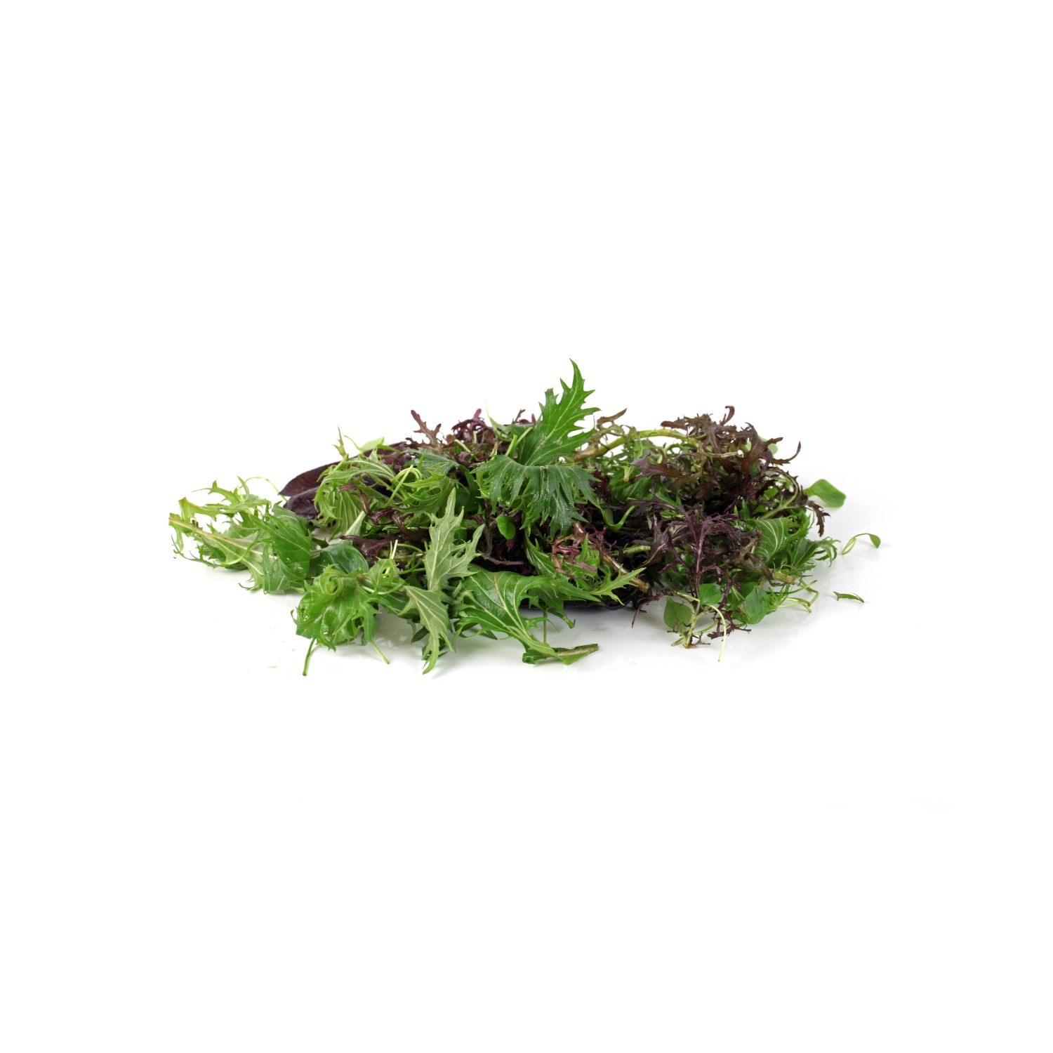 Wildkräutersalat-Mix, 1 x 250 g