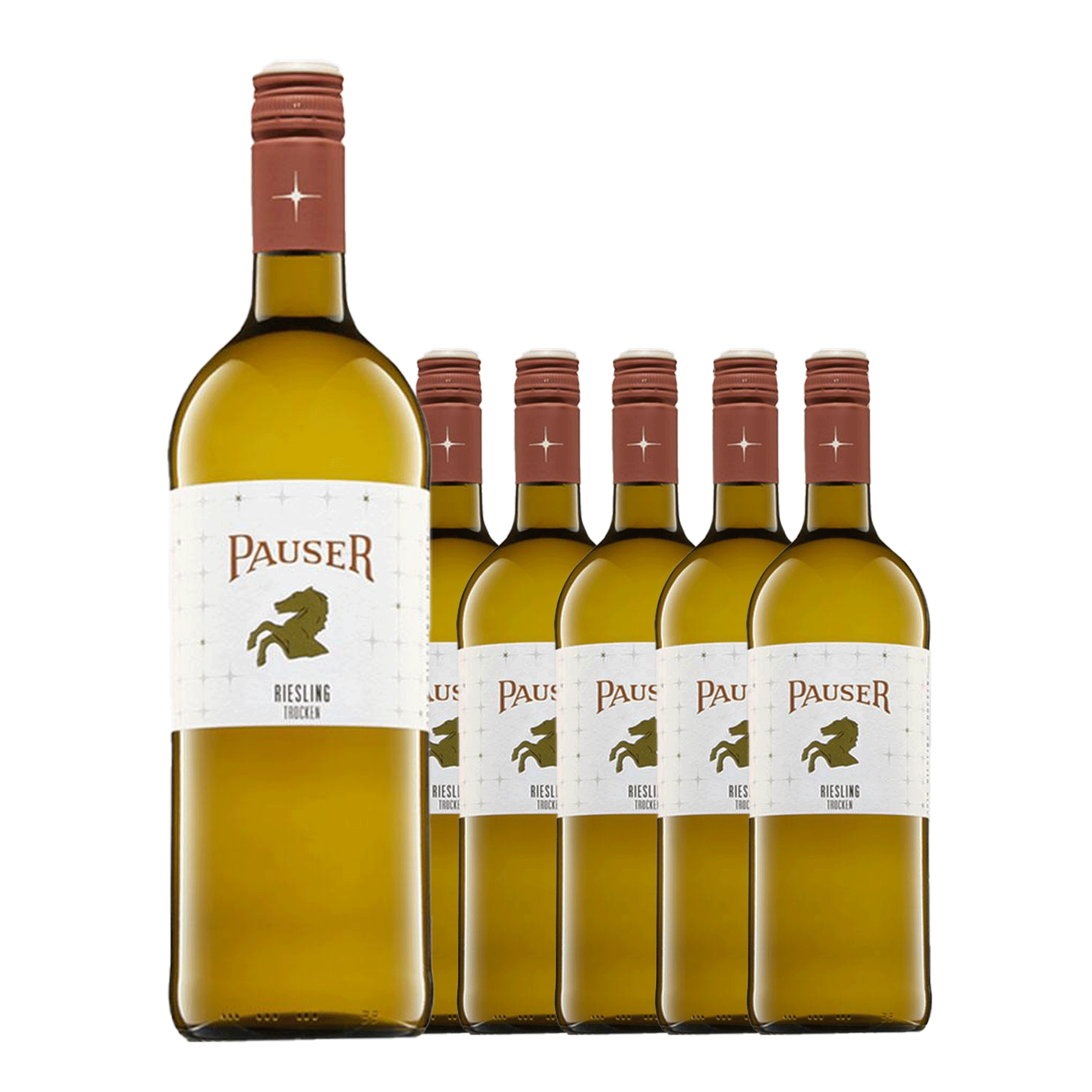 Weingut Pauser - Riesling trocken, 2023, 6 x 1l Flasche